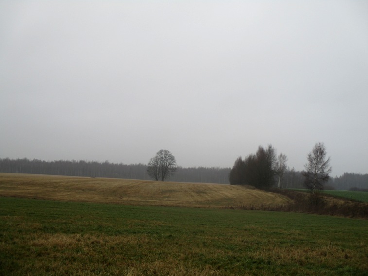 IMG_4685.JPG