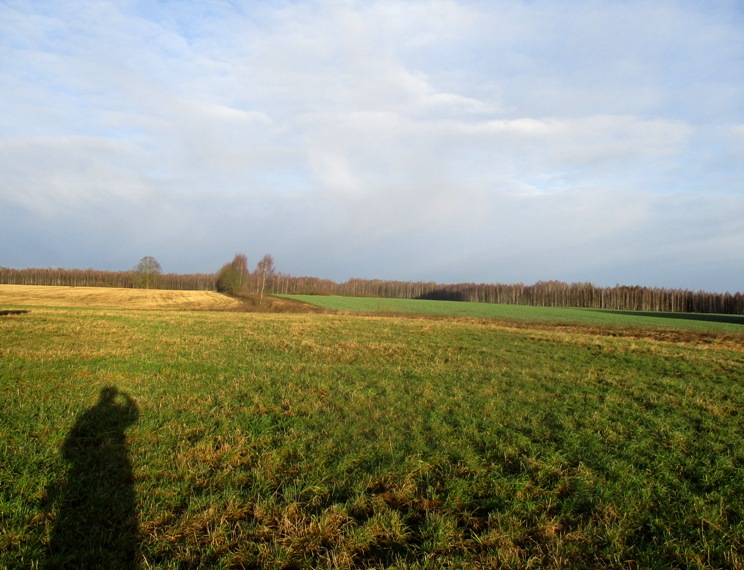 IMG_4699.JPG