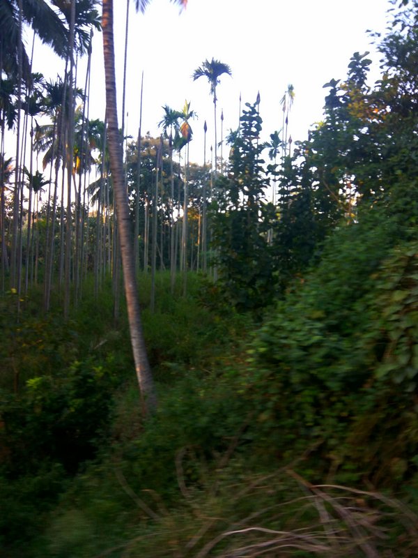 IMG_20200127_072649.jpg