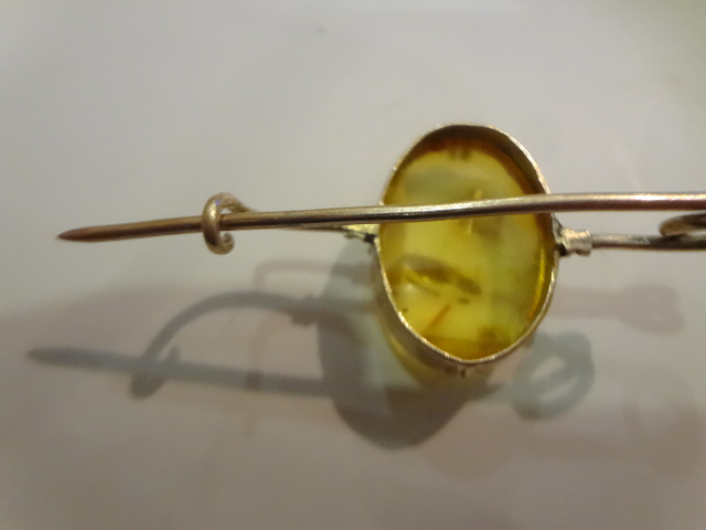 DSC04954.JPG
