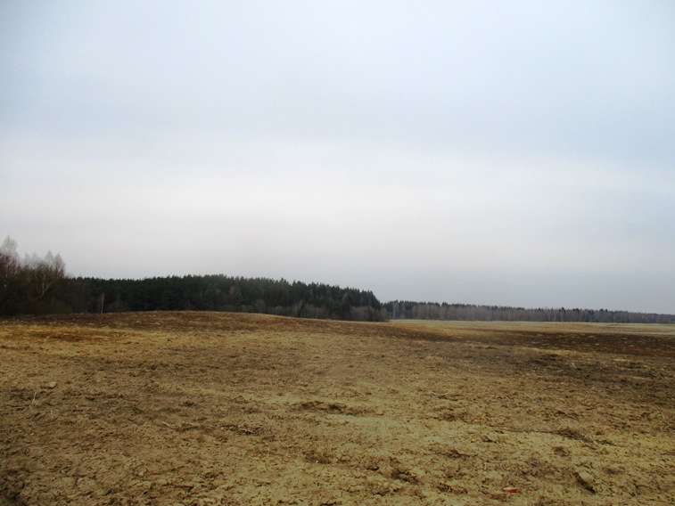 IMG_4851.JPG