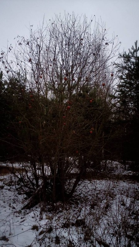 IMG-16deef87be5b5f0a6b76ba916ed8decb-V.jpg