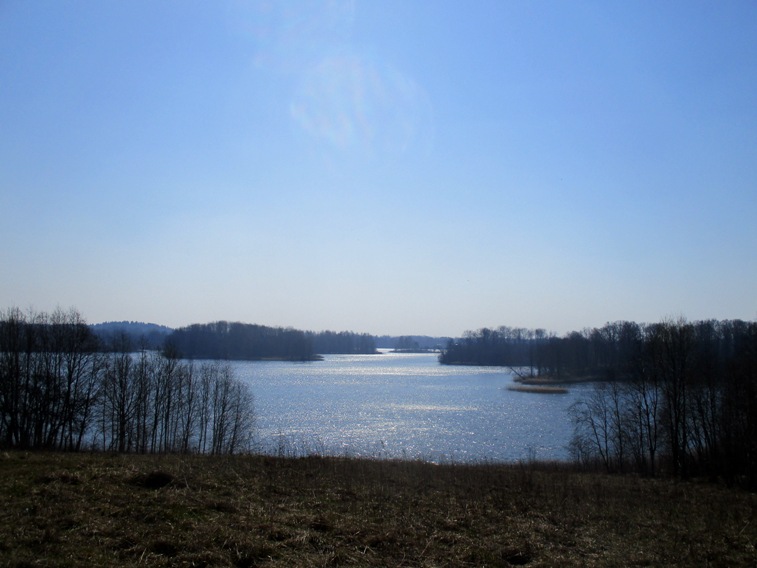 IMG_4965.JPG