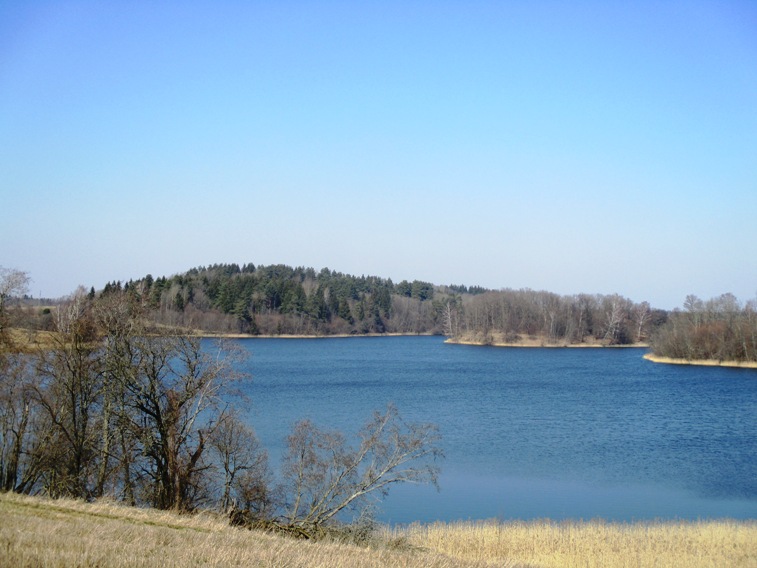 IMG_4981.JPG