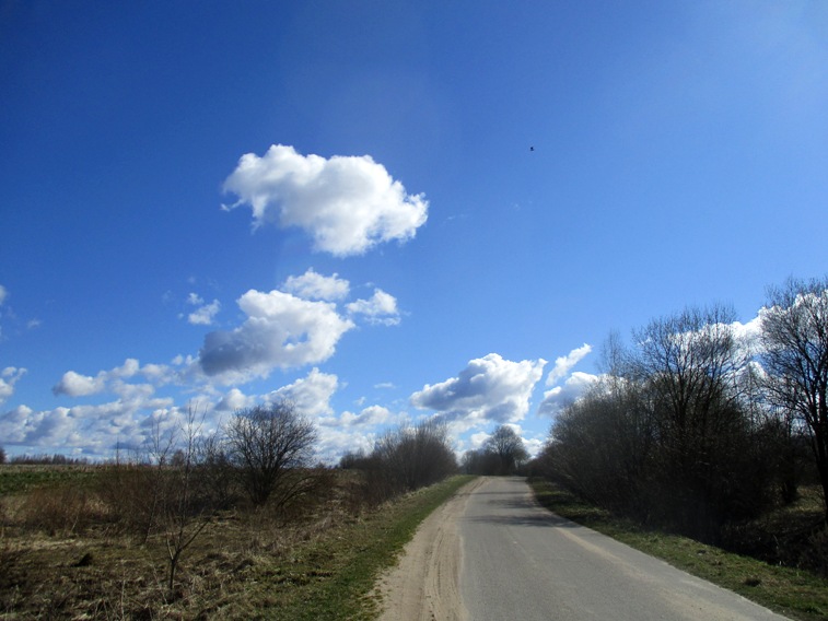 IMG_4994.JPG