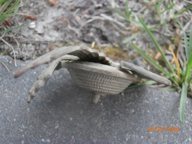 P5041201.JPG
