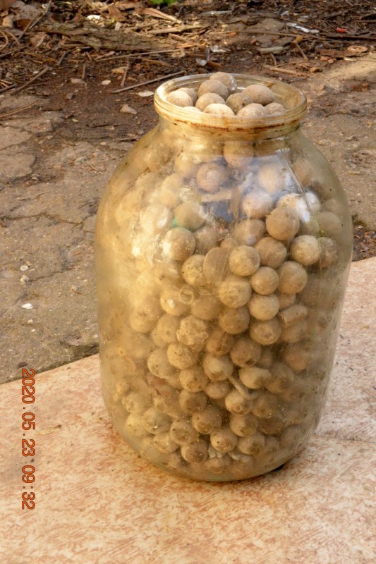 пули.JPG