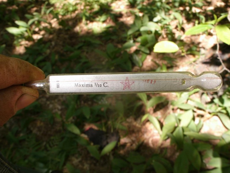 GEDC5219.JPG