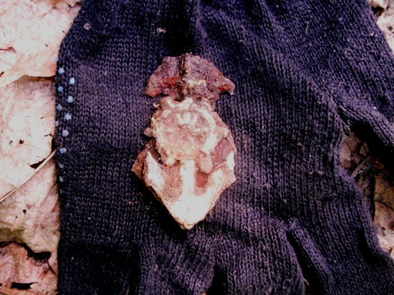 GEDC5252.JPG