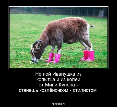 dem_474577.jpg
