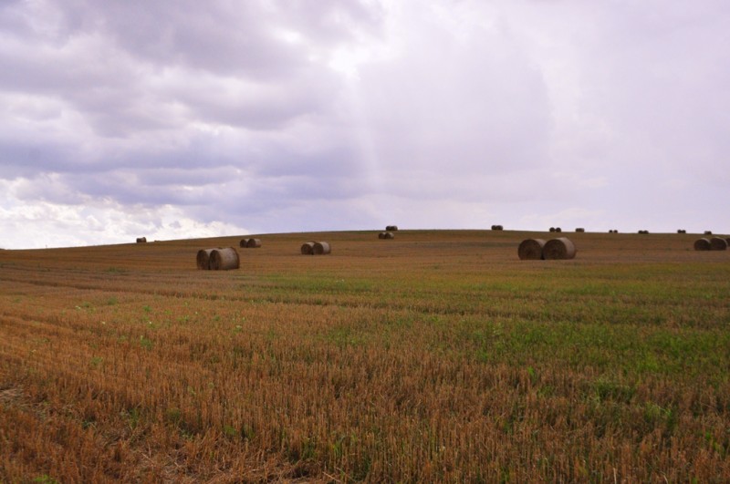 CSC_2186.JPG