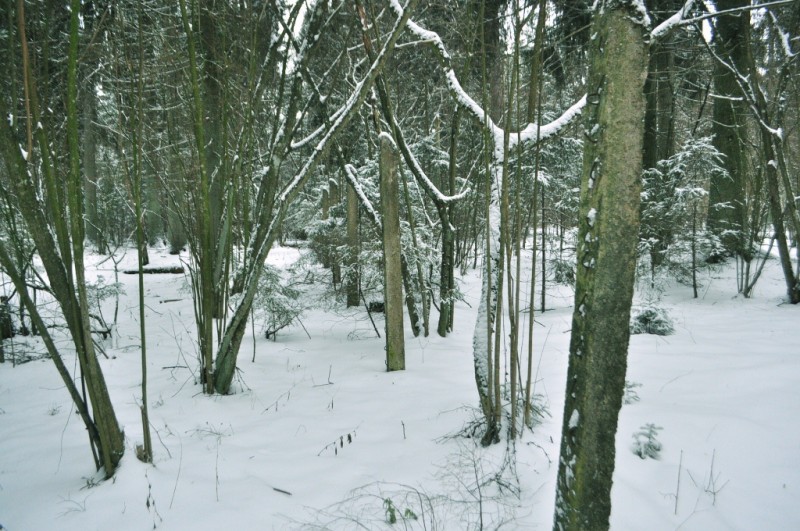 CSC_6316.JPG