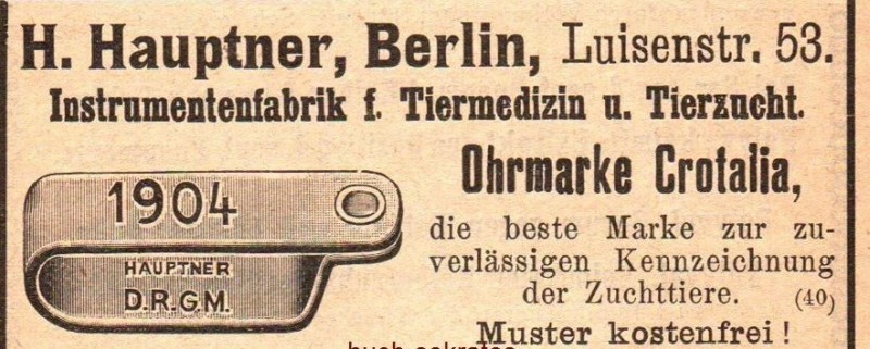 Ohrmarke.jpg