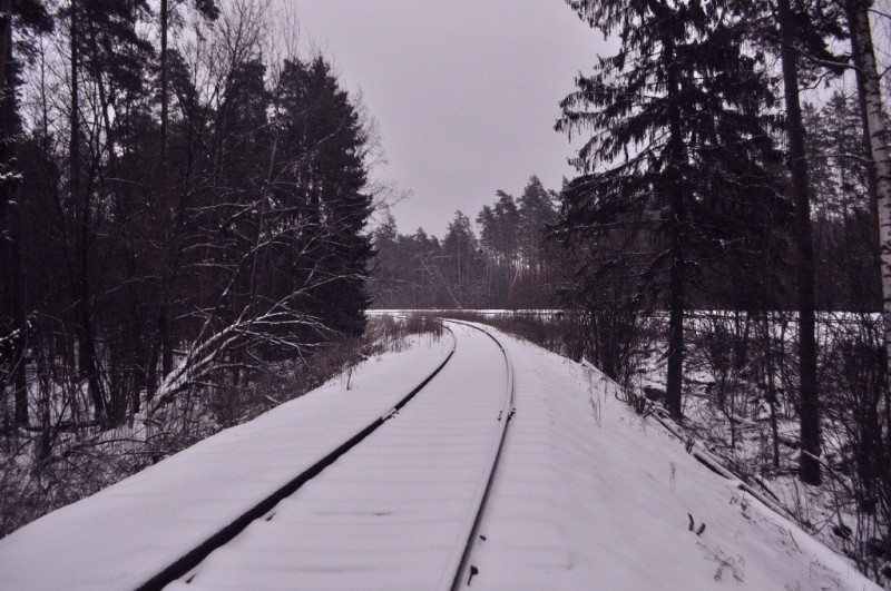 CSC_6341.JPG