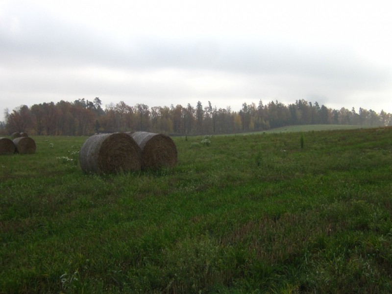IMG_6320.JPG