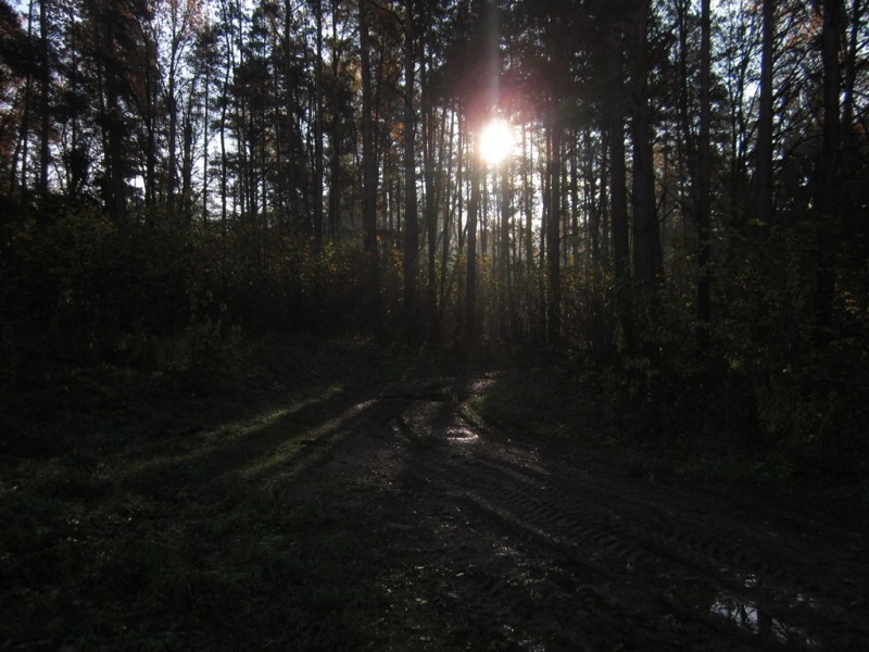 IMG_6352.JPG