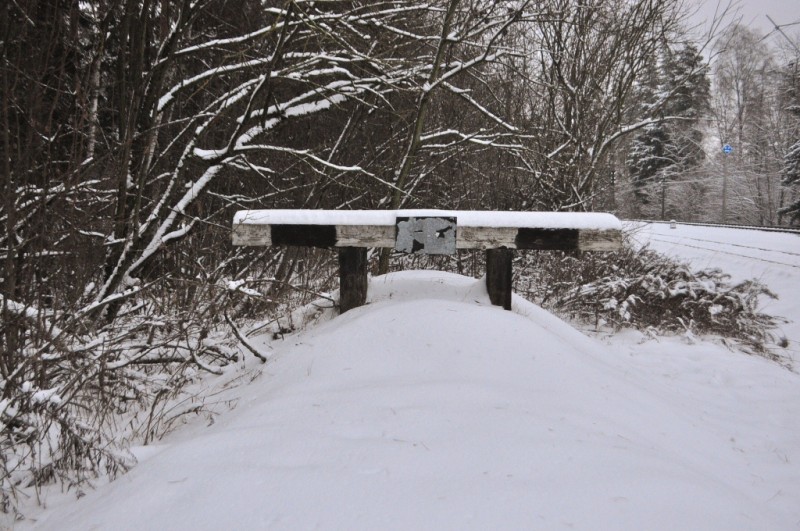 CSC_6368.JPG