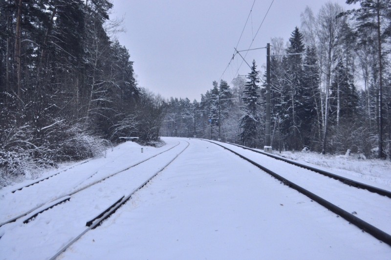 CSC_6367.JPG