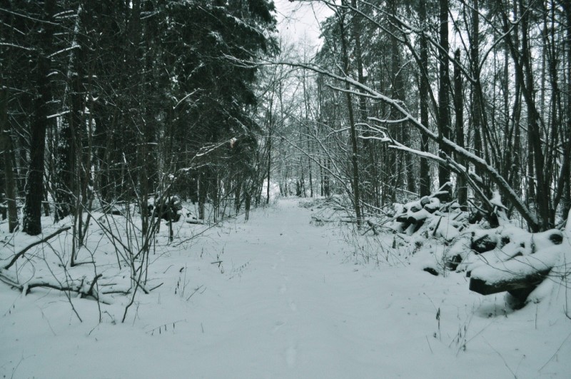 CSC_6380.JPG