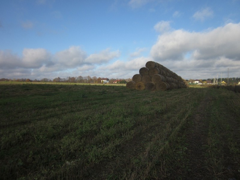 IMG_6420.JPG