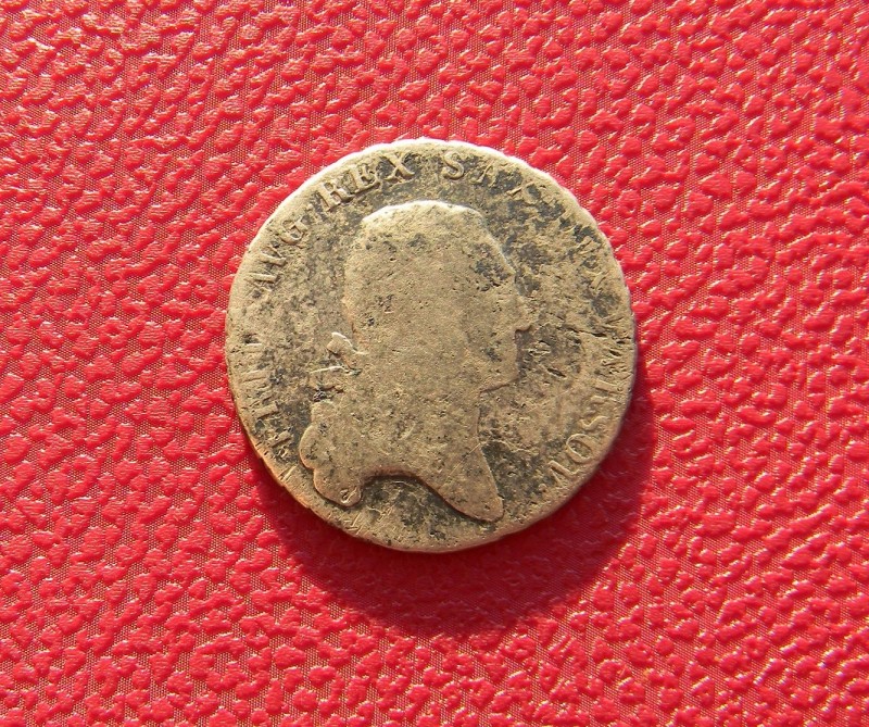 DSCN8503.jpg